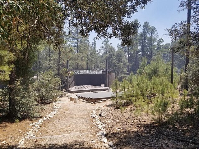 Spring Showcase poster